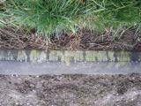 image of grave number 373403